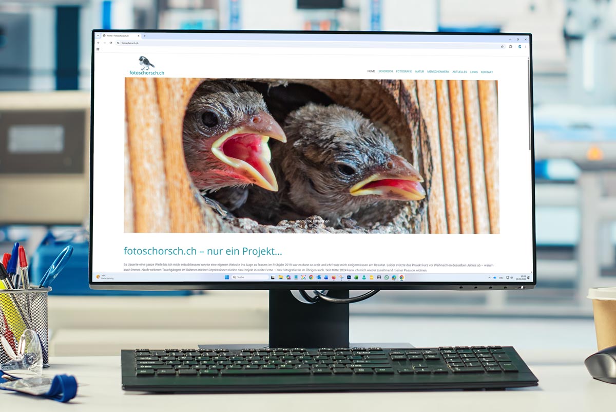 Webseite Fotoschorsch in Einigen
